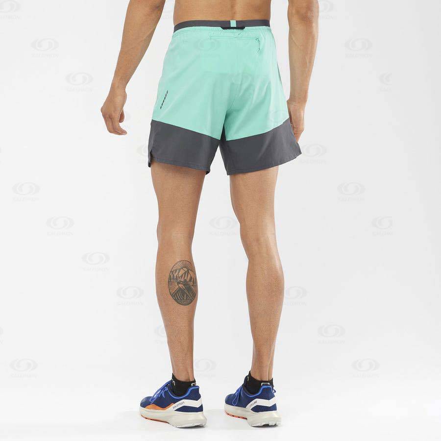 Bermudas Salomon CROSS 7'' NO LINER Hombre Verde Menta | MX-L1858