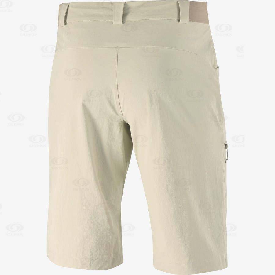 Bermudas Salomon WAYFARER Hombre Beige | MX-N2044