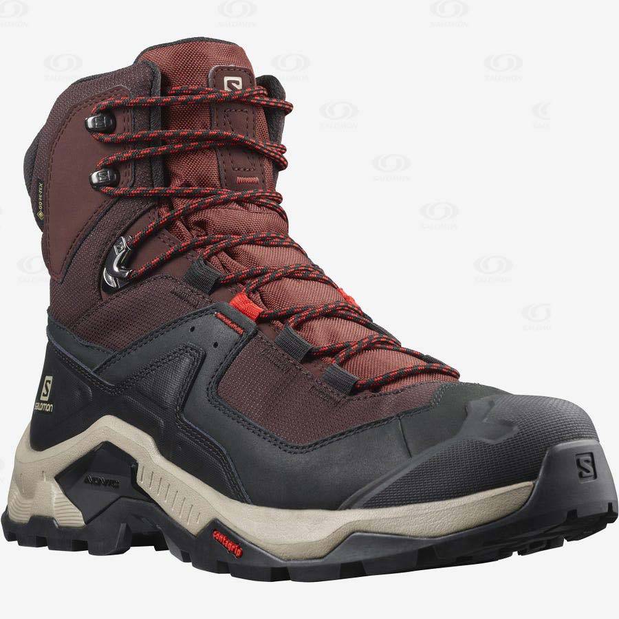 Botas Montaña Salomon QUEST ELEMENT GORE-TEX Hombre Grises Rojos | MX-L1872