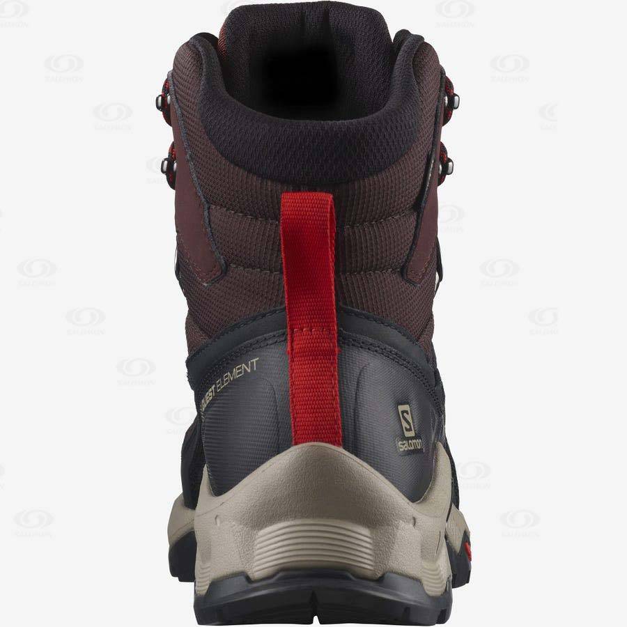 Botas Montaña Salomon QUEST ELEMENT GORE-TEX Hombre Grises Rojos | MX-L1872