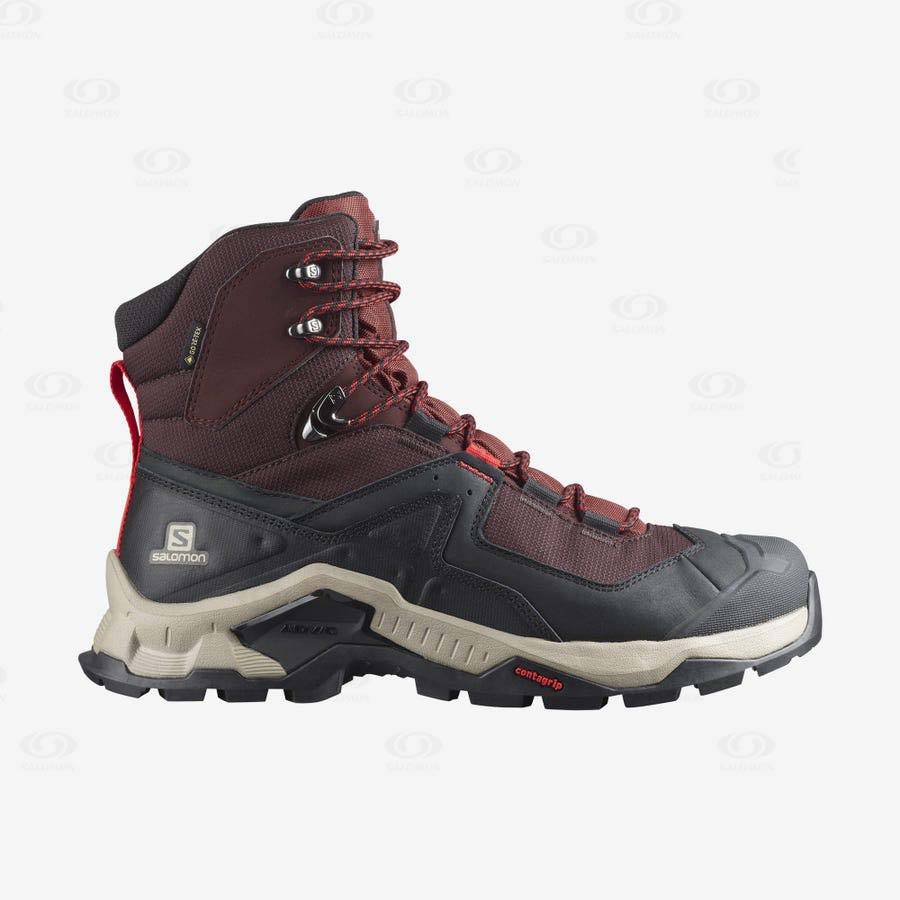 Botas Montaña Salomon QUEST ELEMENT GORE-TEX Hombre Grises Rojos | MX-L1872