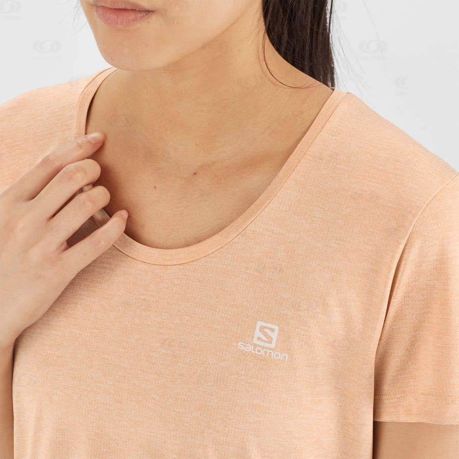 Camiseta Salomon AGILE Mujer Beige | MX-N2016