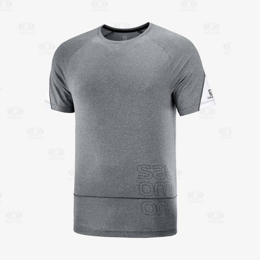 Camiseta Salomon CROSS RUN GRAPHIC Hombre Grises | MX-A1290