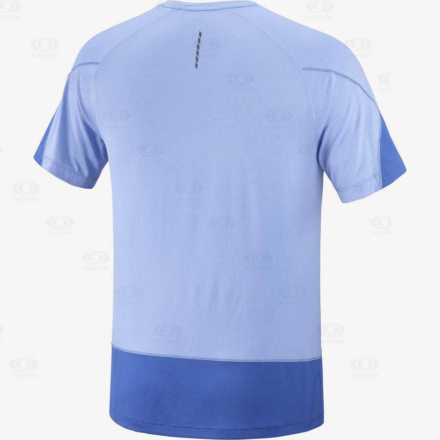 Camiseta Salomon CROSS RUN GRAPHIC Hombre Azules | MX-A2417