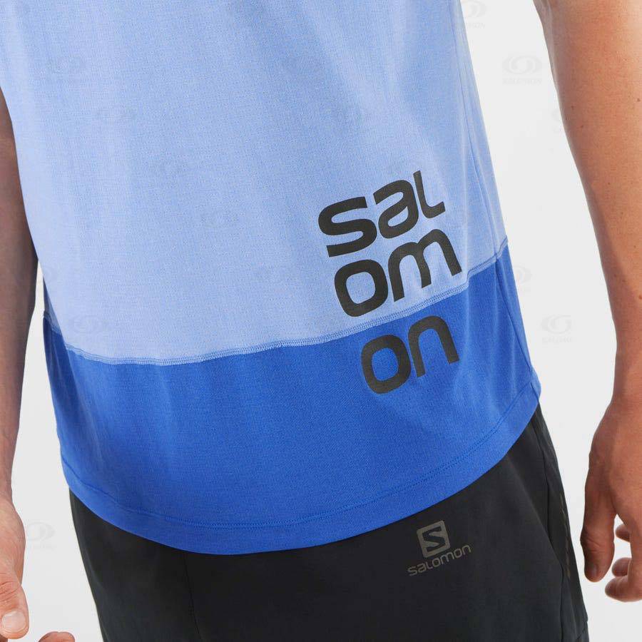 Camiseta Salomon CROSS RUN GRAPHIC Hombre Azules | MX-A2417