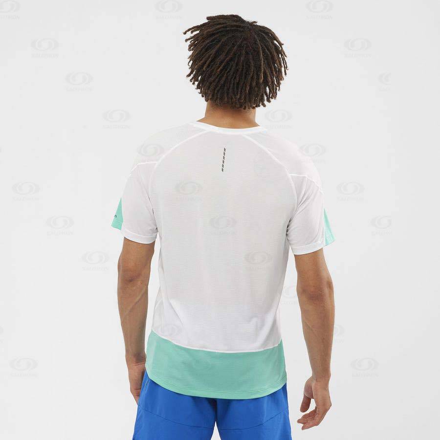 Camiseta Salomon CROSS RUN GRAPHIC Hombre Blancos | MX-A2557