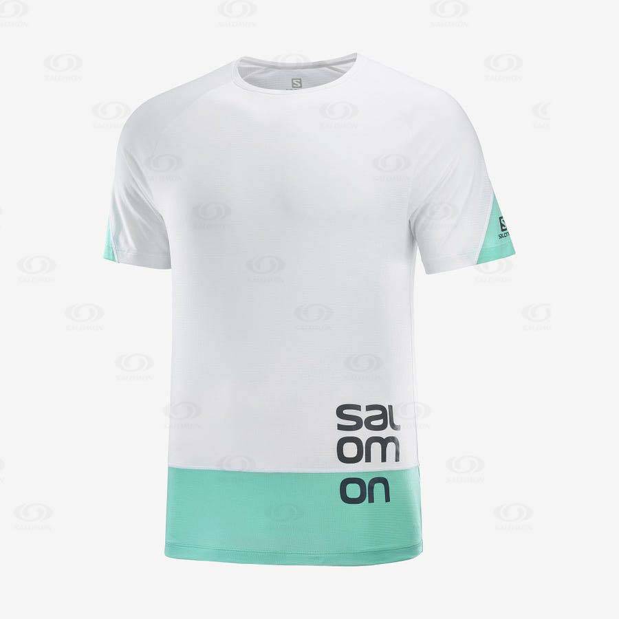 Camiseta Salomon CROSS RUN GRAPHIC Hombre Blancos | MX-A2557