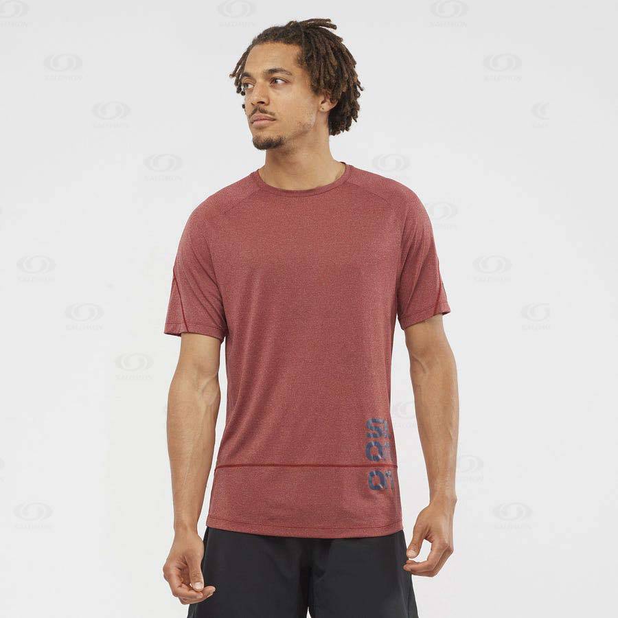 Camiseta Salomon CROSS RUN GRAPHIC Hombre Rojos | MX-O1476