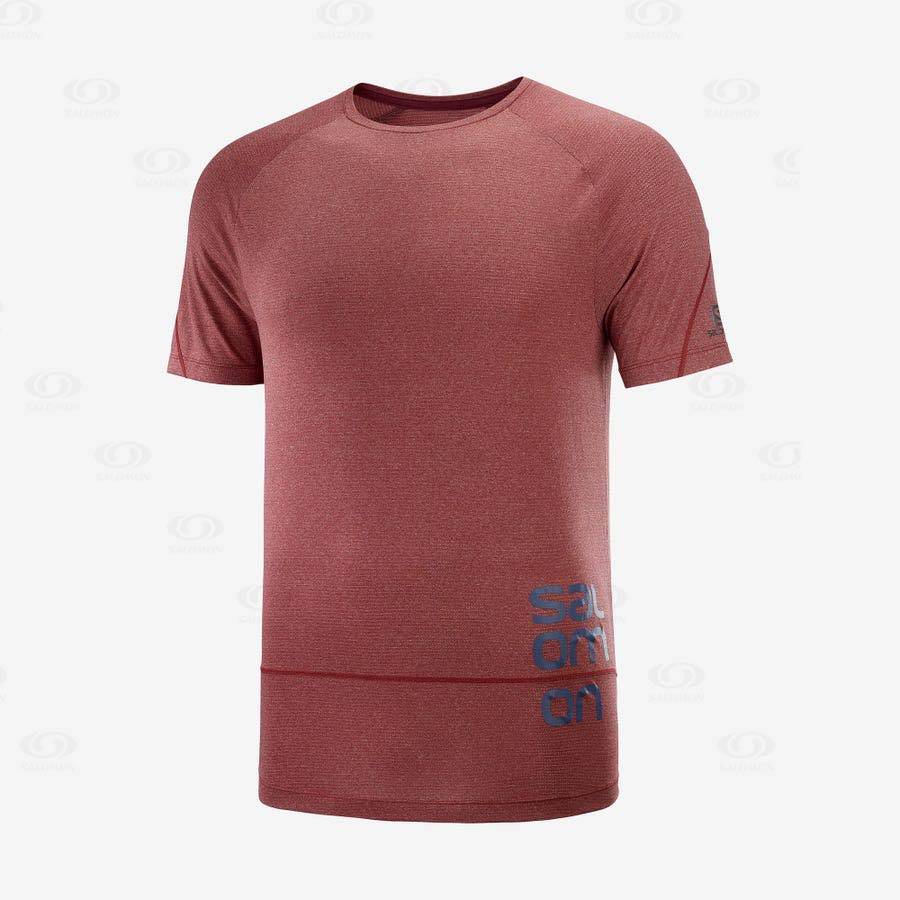 Camiseta Salomon CROSS RUN GRAPHIC Hombre Rojos | MX-O1476