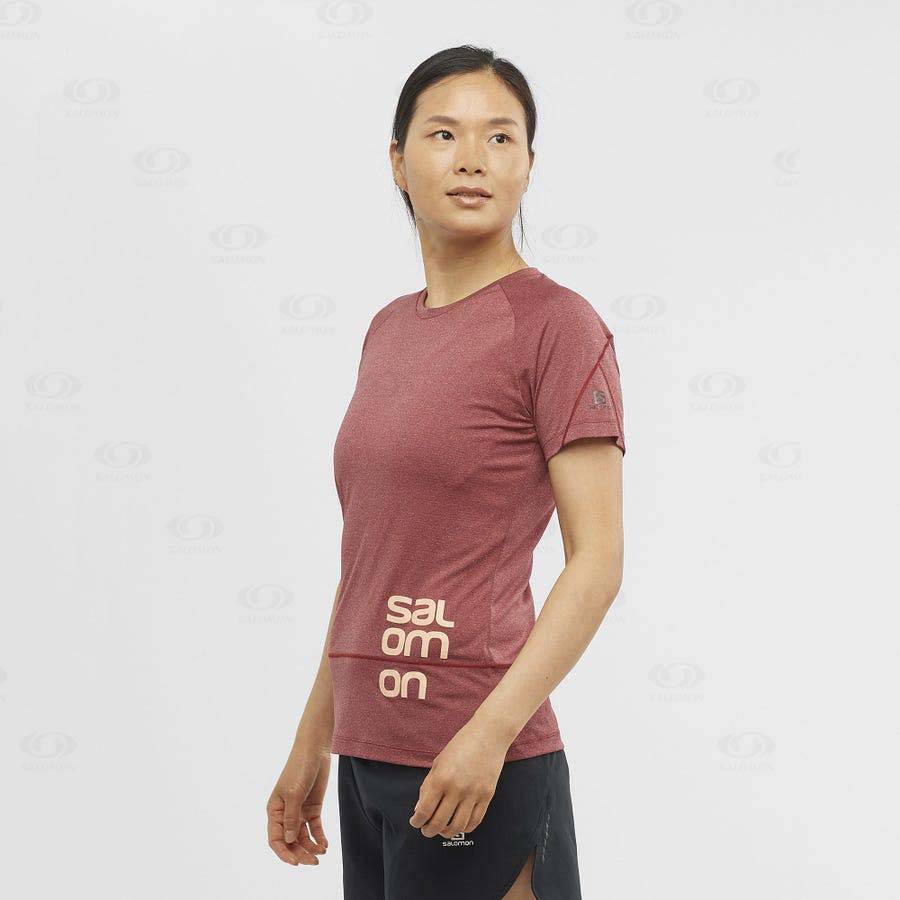 Camiseta Salomon CROSS RUN GRAPHIC Mujer Rojos | MX-A1766