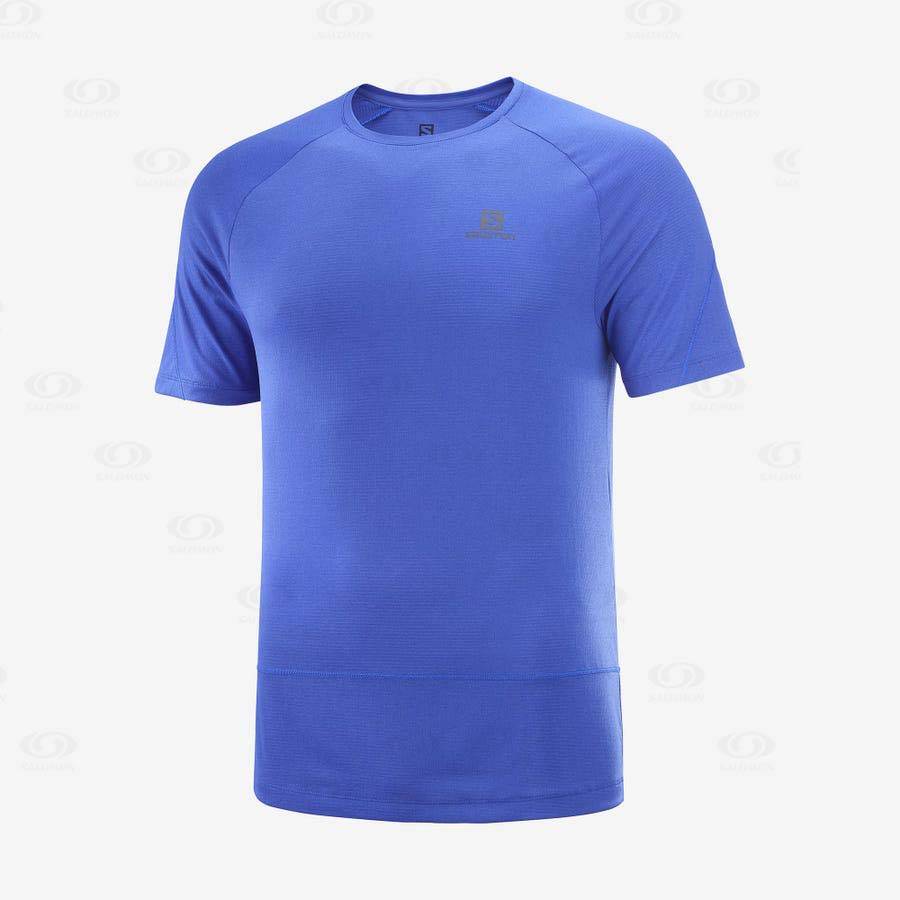 Camiseta Salomon CROSS RUN Hombre Azules | MX-N1414