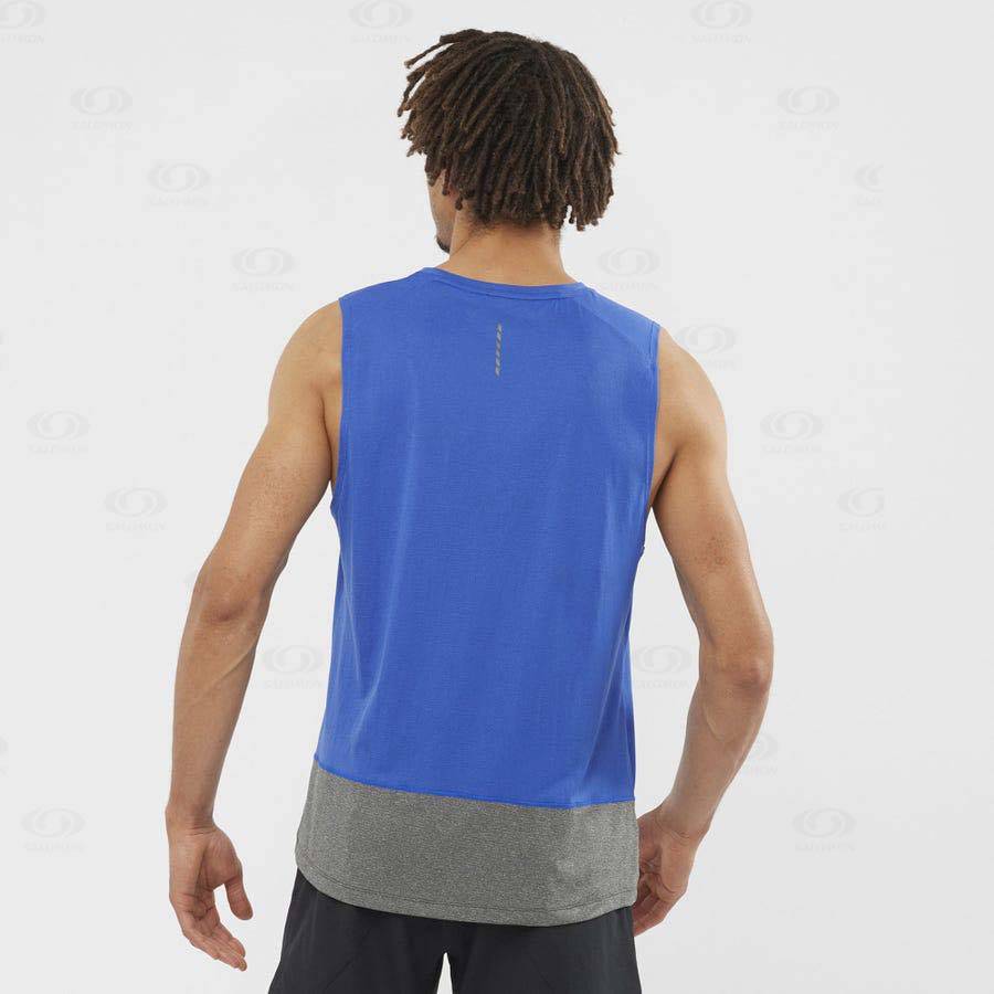 Camiseta Salomon CROSS RUN Hombre Azules | MX-W1360