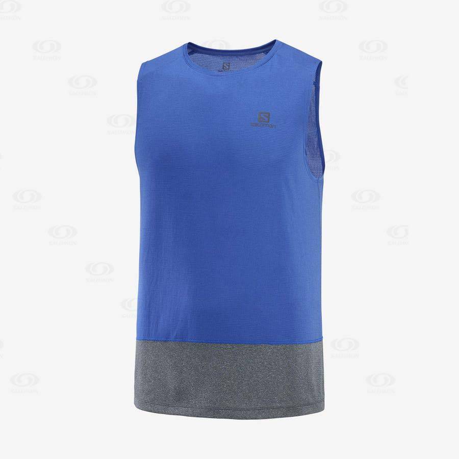 Camiseta Salomon CROSS RUN Hombre Azules | MX-W1360