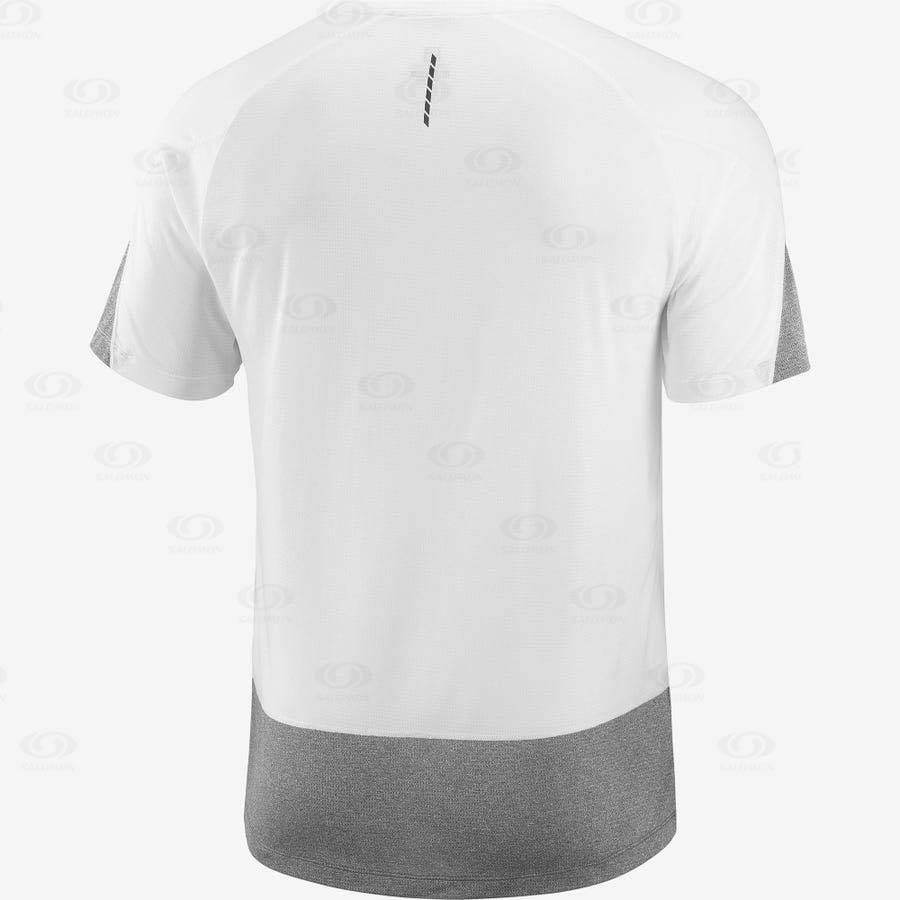 Camiseta Salomon CROSS RUN Hombre Blancos | MX-N1400