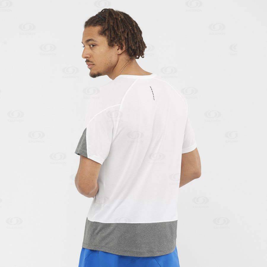 Camiseta Salomon CROSS RUN Hombre Blancos | MX-N1400