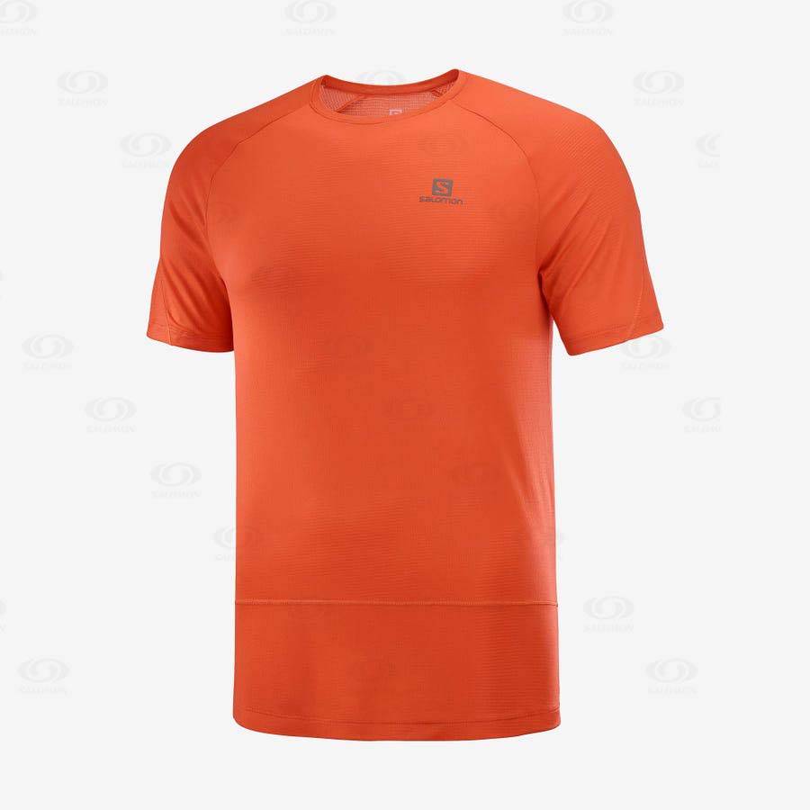 Camiseta Salomon CROSS RUN Hombre Naranjas | MX-L1550