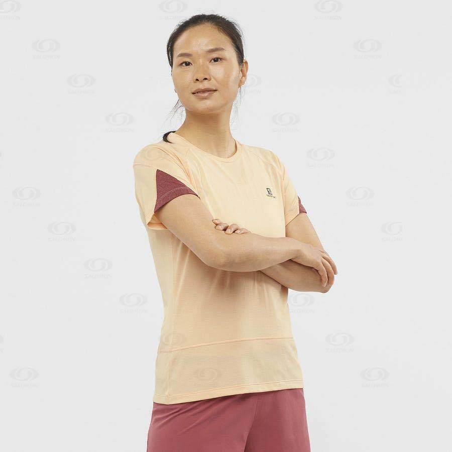 Camiseta Salomon CROSS RUN Mujer Beige | MX-M2560