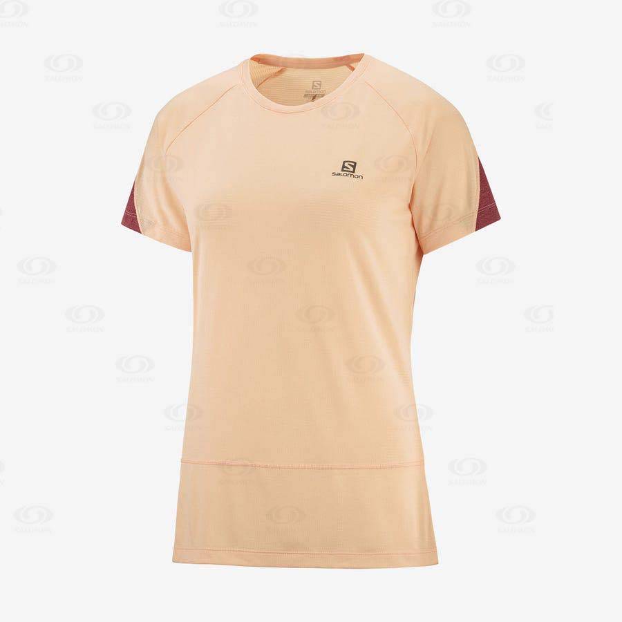 Camiseta Salomon CROSS RUN Mujer Beige | MX-M2560