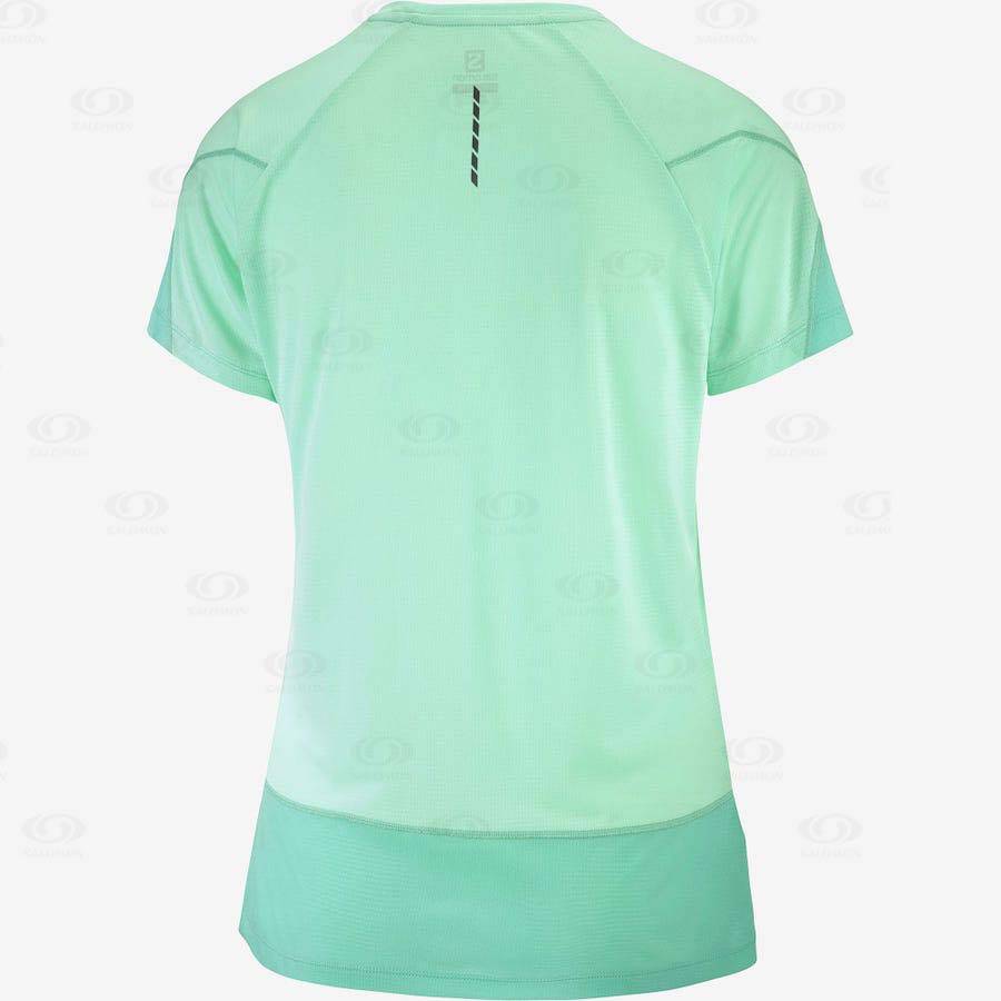 Camiseta Salomon CROSS RUN Mujer Verdes | MX-L1186