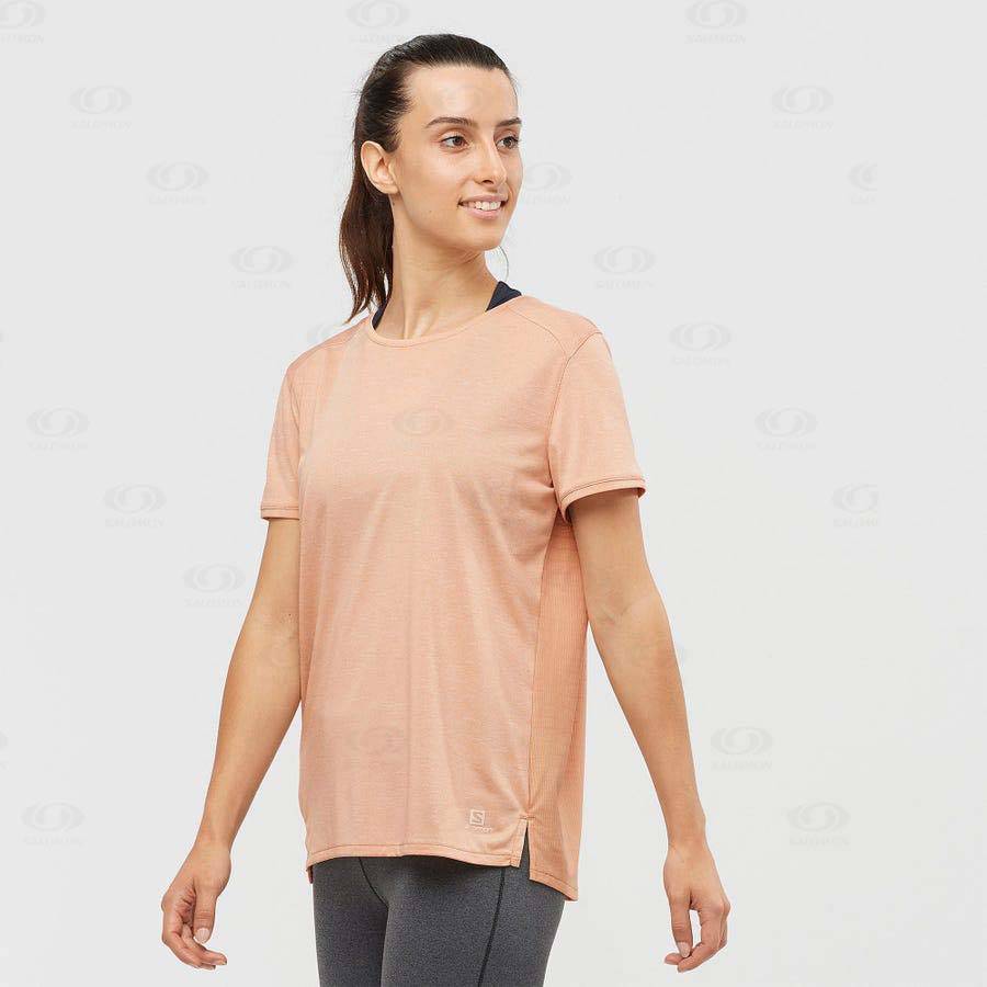 Camiseta Salomon OUTLINE SUMMER Mujer Beige | MX-L1235