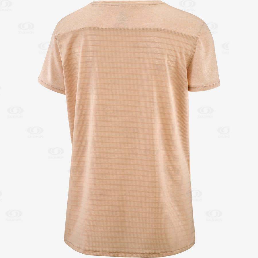 Camiseta Salomon OUTLINE SUMMER Mujer Beige | MX-L1235