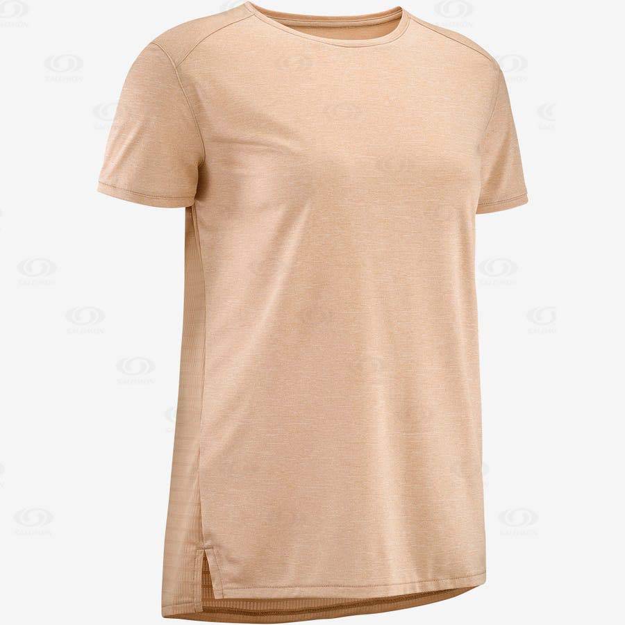 Camiseta Salomon OUTLINE SUMMER Mujer Beige | MX-L1235