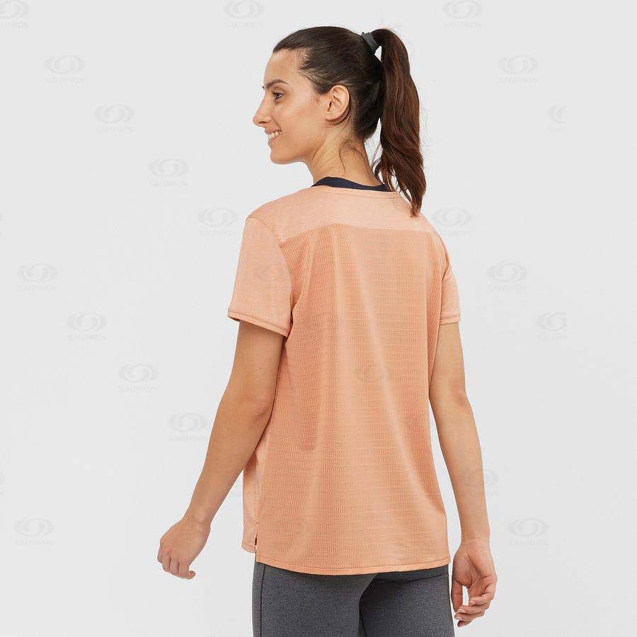 Camiseta Salomon OUTLINE SUMMER Mujer Beige | MX-L1235