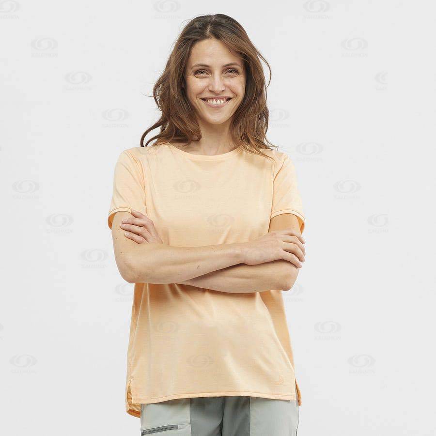 Camiseta Salomon OUTLINE SUMMER Mujer Marrom | MX-N2156