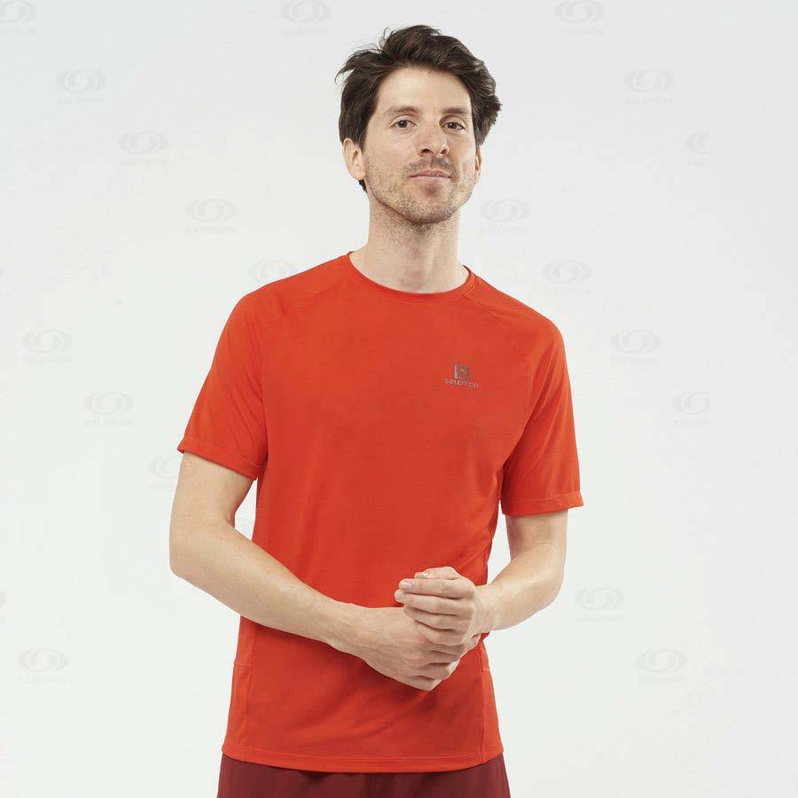 Camiseta Salomon PROMO CROSS REBEL Hombre Naranjas | MX-M1881