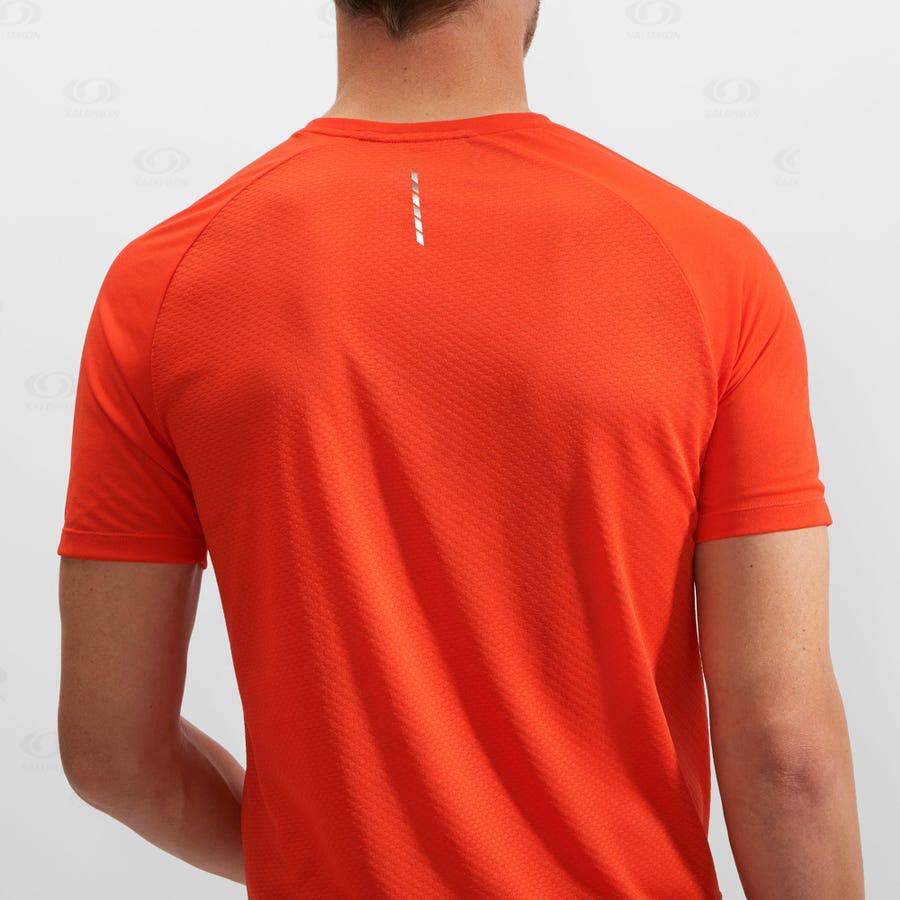 Camiseta Salomon PROMO CROSS REBEL Hombre Naranjas | MX-M1881