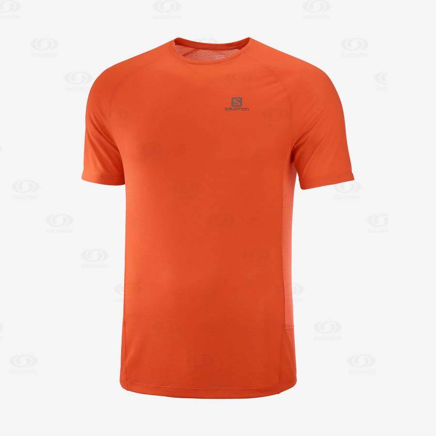 Camiseta Salomon PROMO CROSS REBEL Hombre Naranjas | MX-M1881