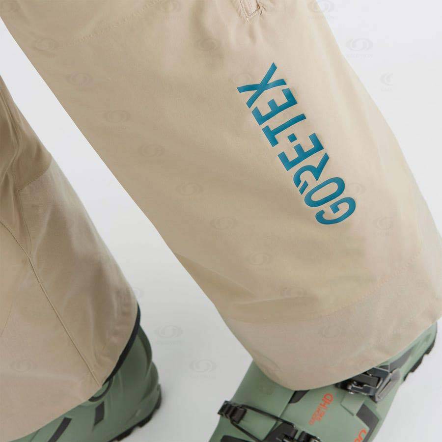 Pantalones De Esquí Salomon GRAVITY GORE-TEX Hombre Marrom | MX-A2291