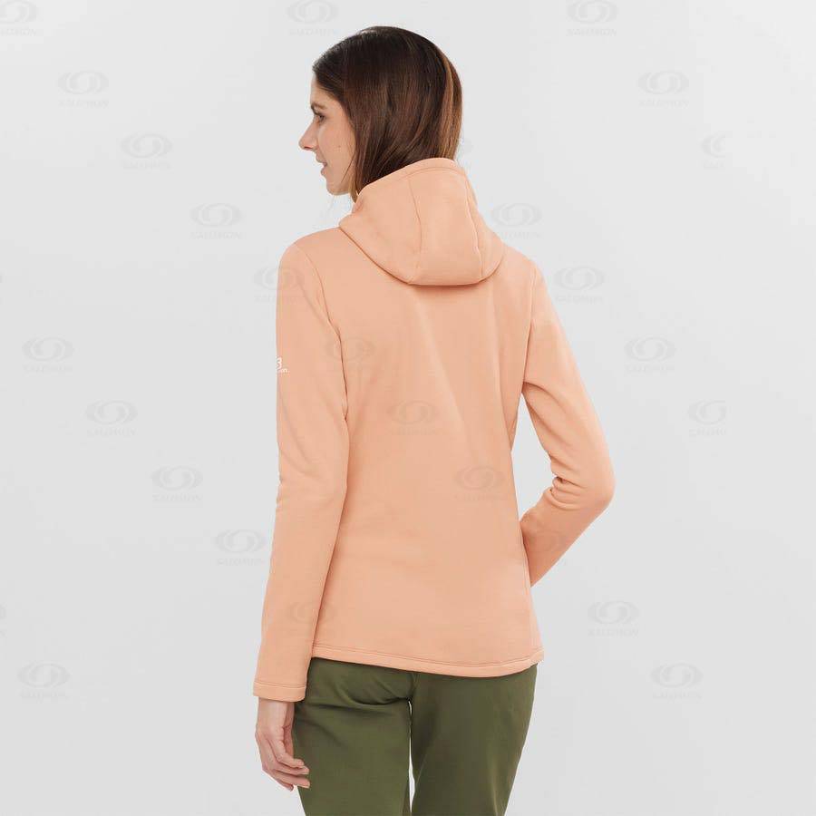 Sudadera Salomon ESSENTIAL XWARM Mujer Rosas | MX-S1877