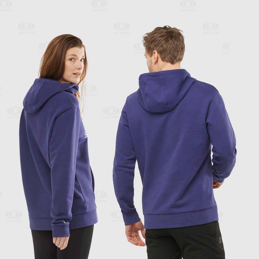 Sudadera Salomon OUTLIFE LOGO SUMMER Hombre Morados | MX-wA1738