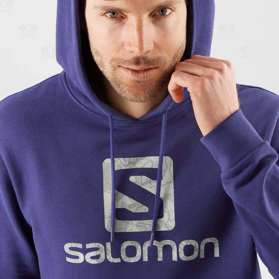 Sudadera Salomon OUTLIFE LOGO SUMMER Hombre Morados | MX-wA1738