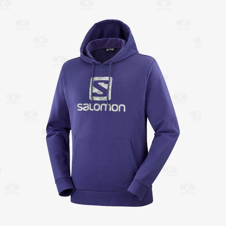 Sudadera Salomon OUTLIFE LOGO SUMMER Hombre Morados | MX-wA1738