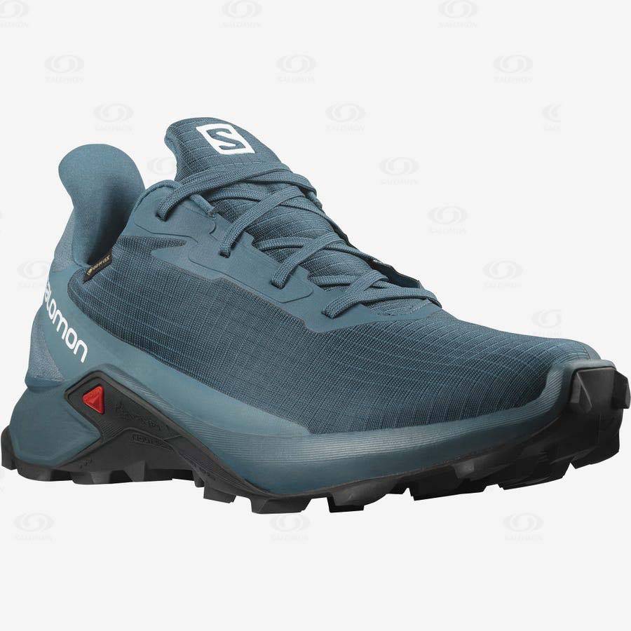 Tenis Impermeables Salomon ALPHACROSS 3 GORE-TEX Hombre Azules | MX-O2274