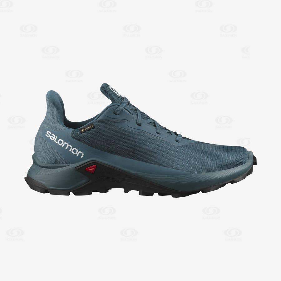 Tenis Impermeables Salomon ALPHACROSS 3 GORE-TEX Hombre Azules | MX-O2274