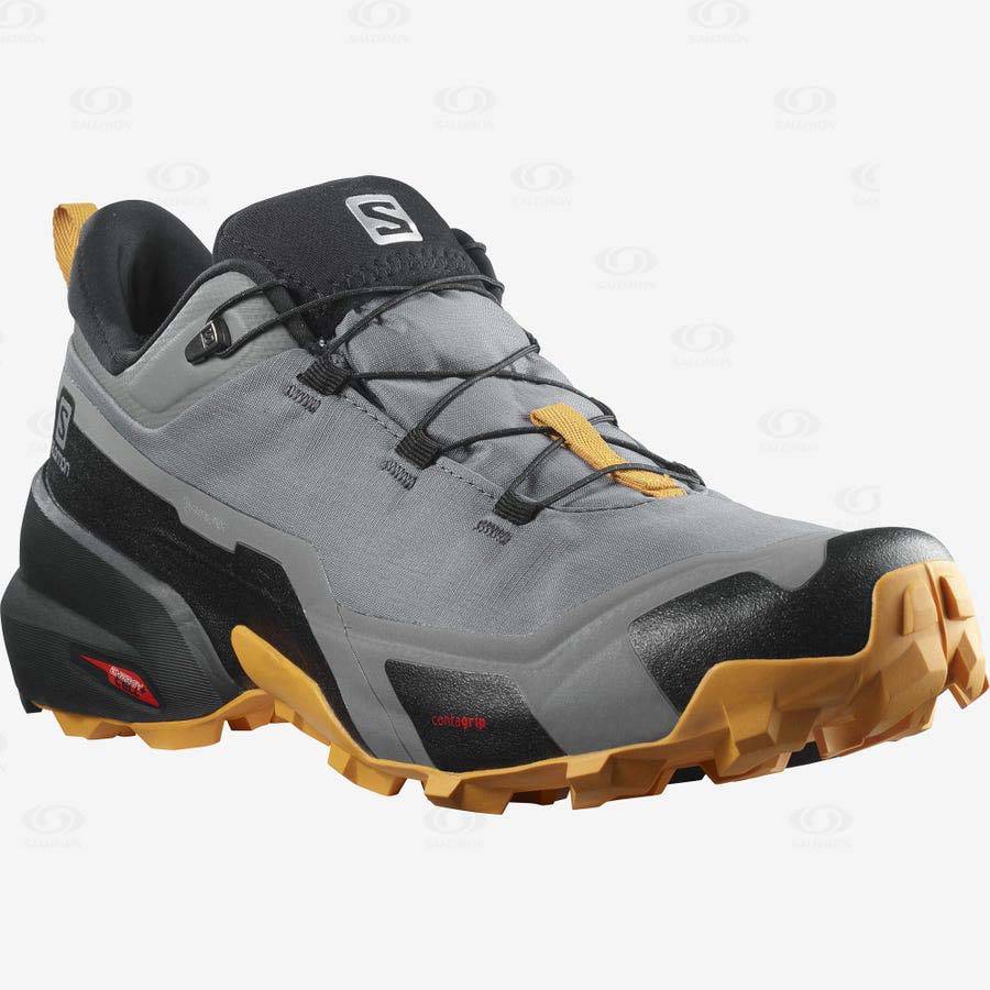 Tenis Impermeables Salomon CROSS HIKE GORE-TEX Hombre Grises | MX-W3850