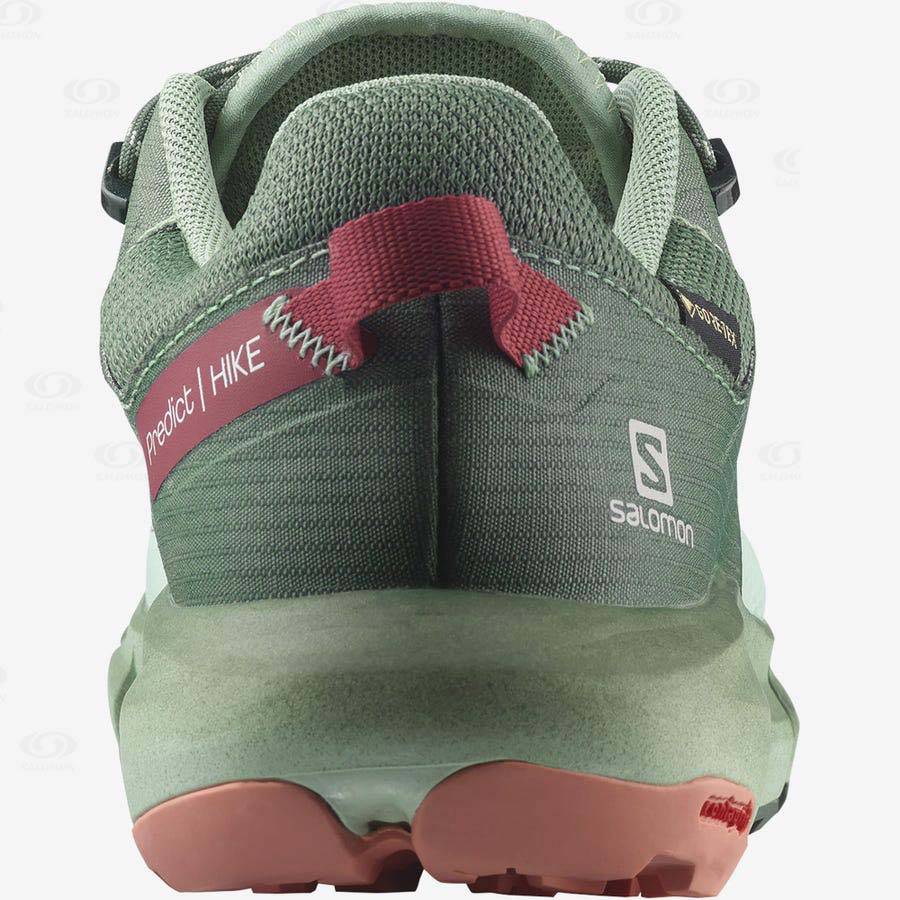 Tenis Impermeables Salomon PREDICT HIKE GORE-TEX Mujer Turquesa | MX-O1586