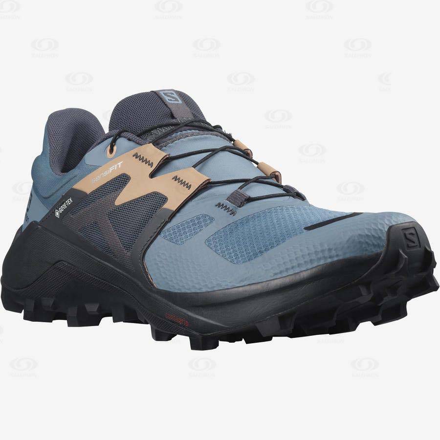 Tenis Impermeables Salomon WILDCROSS 2 GORE-TEX Mujer Azules | MX-O2197