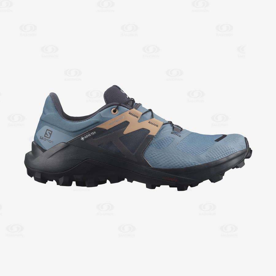 Tenis Impermeables Salomon WILDCROSS 2 GORE-TEX Mujer Azules | MX-O2197