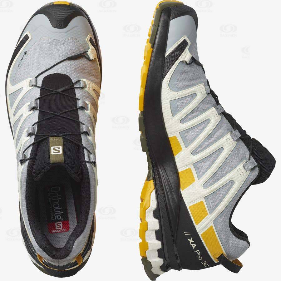 Tenis Impermeables Salomon XA PRO 3D v8 GORE-TEX Hombre Negros Grises | MX-N1813