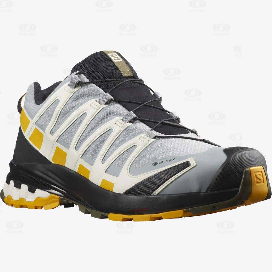 Tenis Impermeables Salomon XA PRO 3D v8 GORE-TEX Hombre Negros Grises | MX-N1813