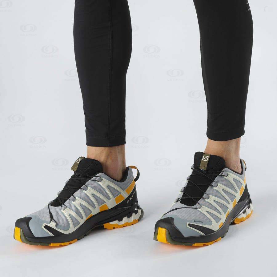 Tenis Impermeables Salomon XA PRO 3D v8 GORE-TEX Hombre Plateados | MX-S1702