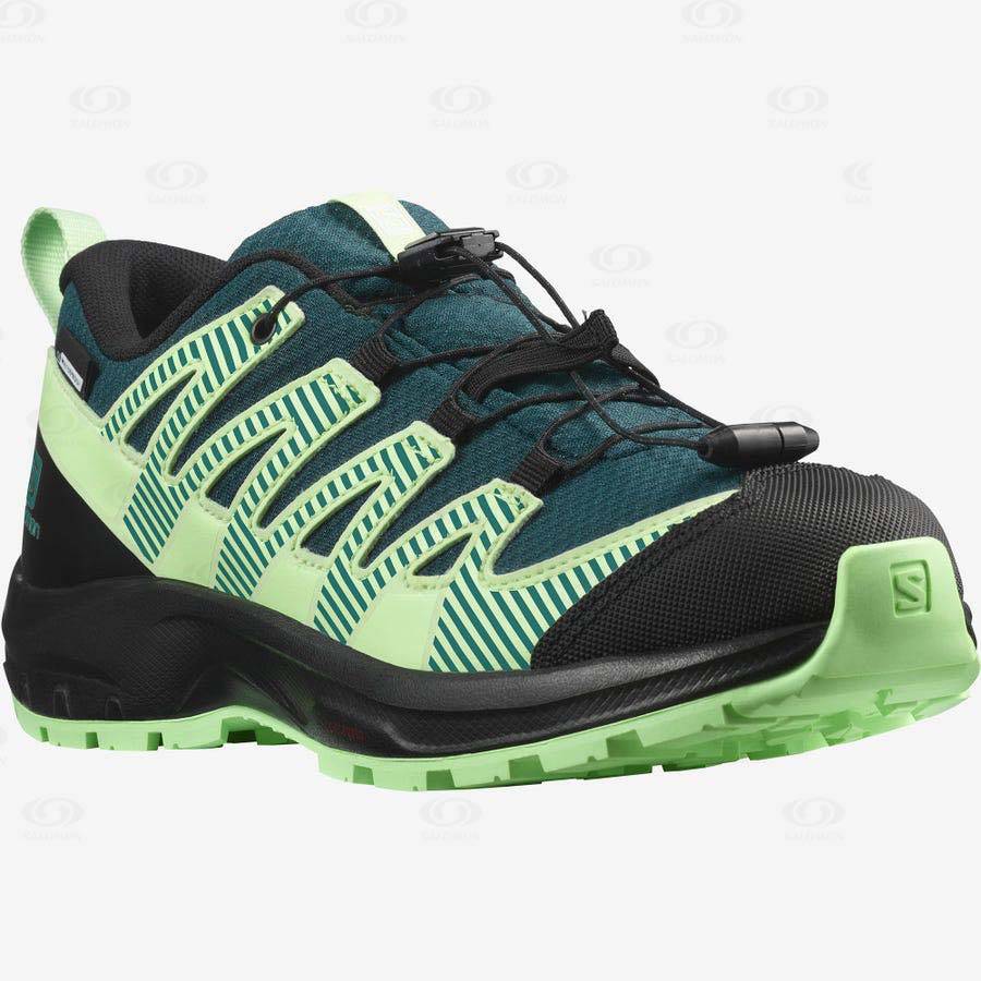 Tenis Impermeables Salomon XA PRO V8 CLIMASALOMON™ Niños Verdes | MX-A2564