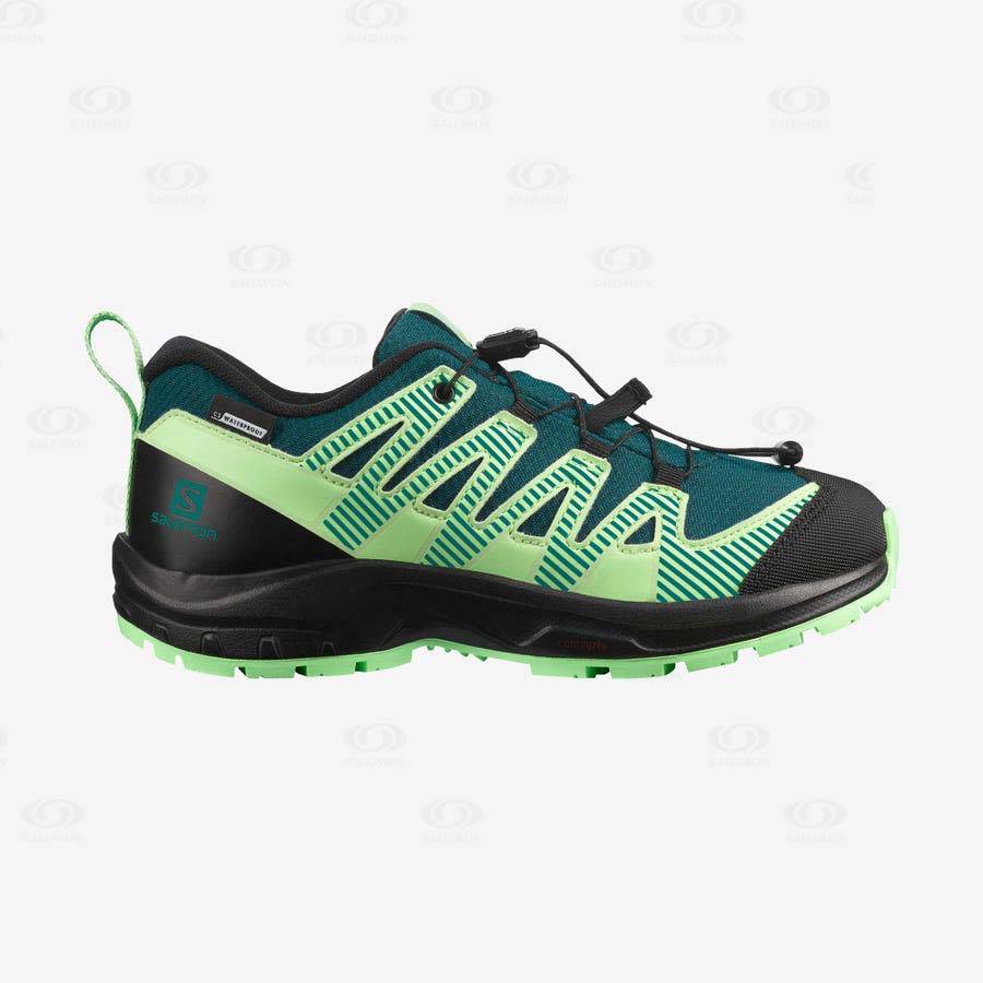 Tenis Impermeables Salomon XA PRO V8 CLIMASALOMON™ Niños Verdes | MX-A2564