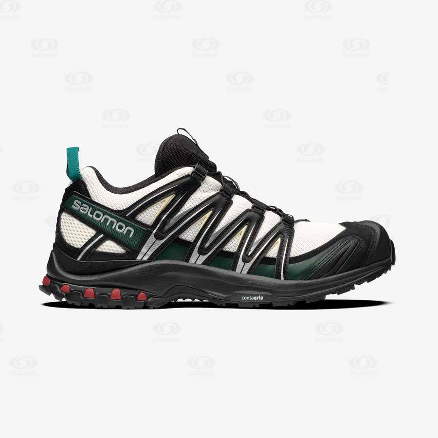 Tenis Salomon XA PRO 3D Hombre Negros | MX-L2446