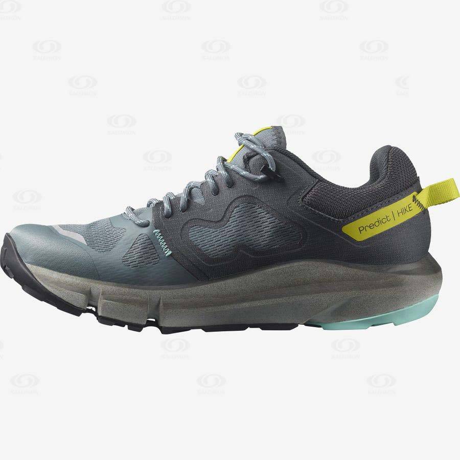 Tenis Senderismo Salomon PREDICT HIKE GORE-TEX Mujer Plateados | MX-S1961