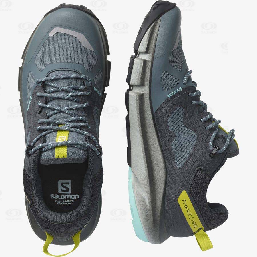 Tenis Senderismo Salomon PREDICT HIKE GORE-TEX Mujer Plateados | MX-S1961